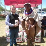 Pitsana Mills Gallery Image